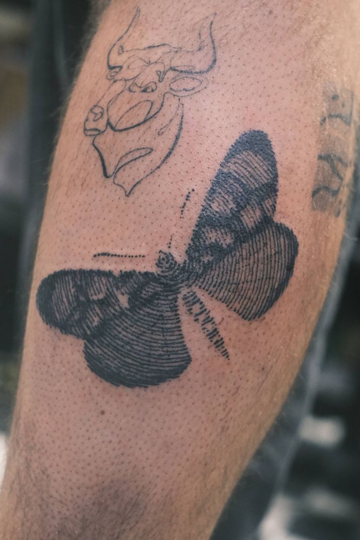 Blackwork: Motte am Körper.